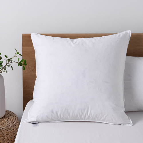 Dreamaker White Goose Feather Down European Pillow Temple Webster